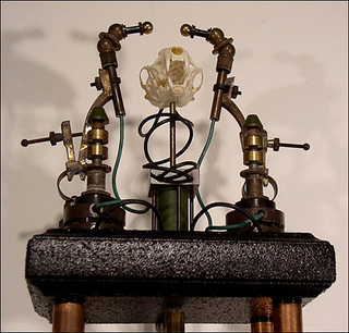 Illustration for article titled Biomechanical Sculptures are Part Mammal, Part Machine